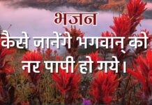 कैसे जानेंगे भगवान् को नर पापी हो गये।