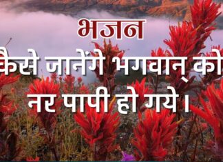 कैसे जानेंगे भगवान् को नर पापी हो गये।