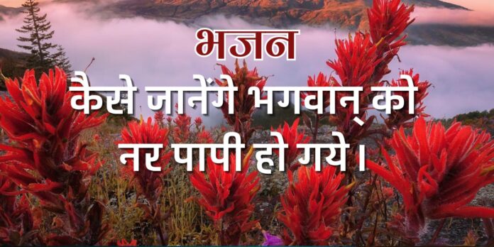 कैसे जानेंगे भगवान् को नर पापी हो गये।