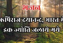 ऋषिराज दयानन्द, भारत में इक ज्योति जलाये गये
