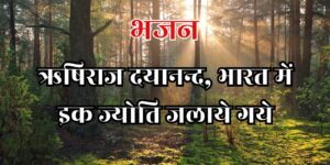 ऋषिराज दयानन्द, भारत में इक ज्योति जलाये गये