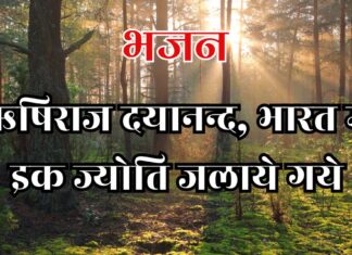 ऋषिराज दयानन्द, भारत में इक ज्योति जलाये गये