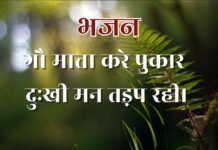 गौ माता करे पुकार दुःखी मन तड़प रही।