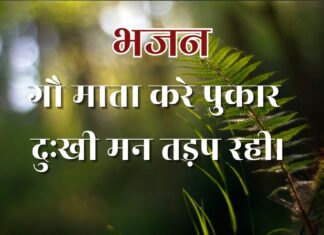 गौ माता करे पुकार दुःखी मन तड़प रही।