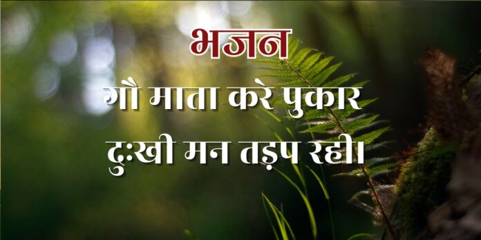 गौ माता करे पुकार दुःखी मन तड़प रही।
