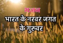 भारत के नरवर जगत के गुरुवर