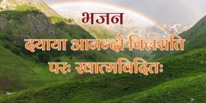दयाया आनन्दो विलसति परः स्वात्मविदितः