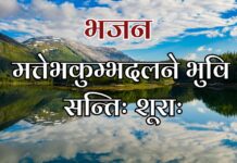 मत्तेभकुम्भदलने भुवि सन्तिः शूराः