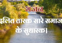 दलित तारक सारे समाज के सुधारक