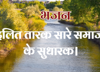 दलित तारक सारे समाज के सुधारक